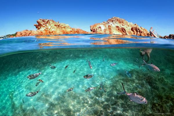 A  young man dives into the water enjoying the seabed